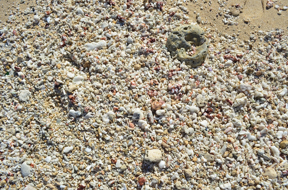 Puerto Galera's white sand