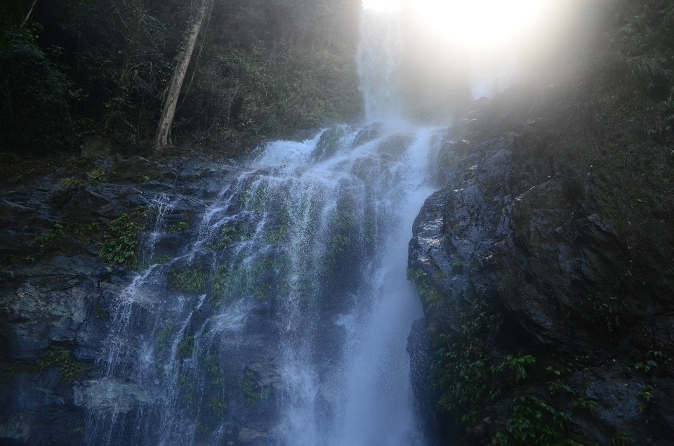 tamaraw falls