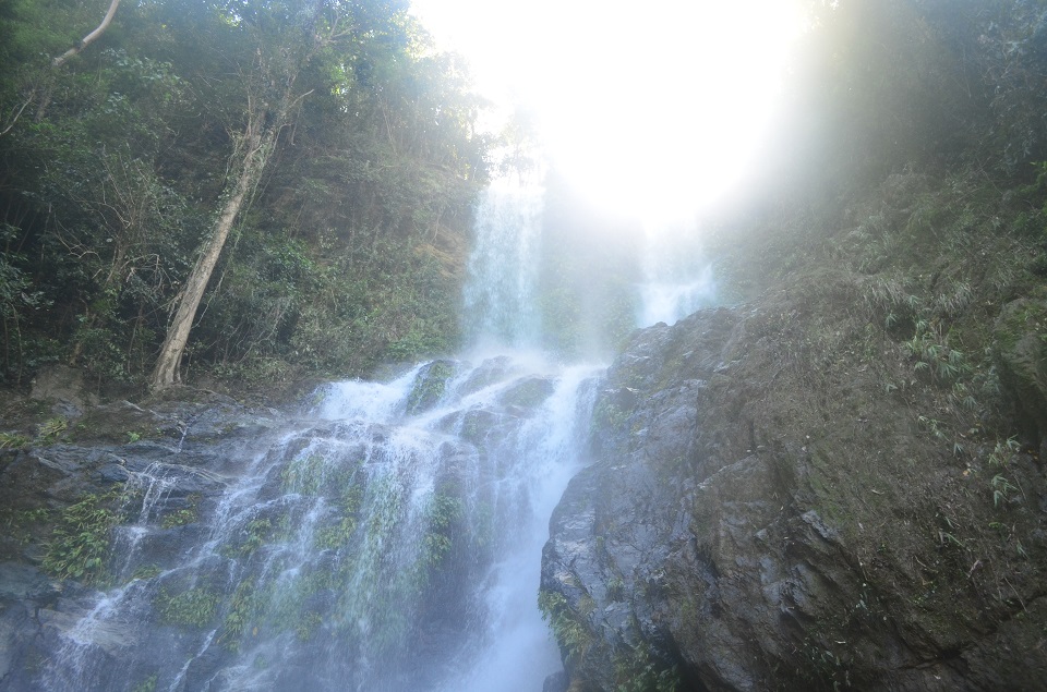 tamaraw falls
