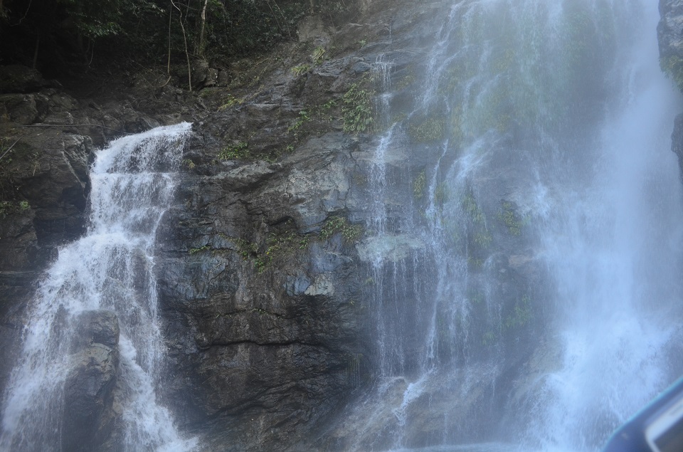 tamaraw falls